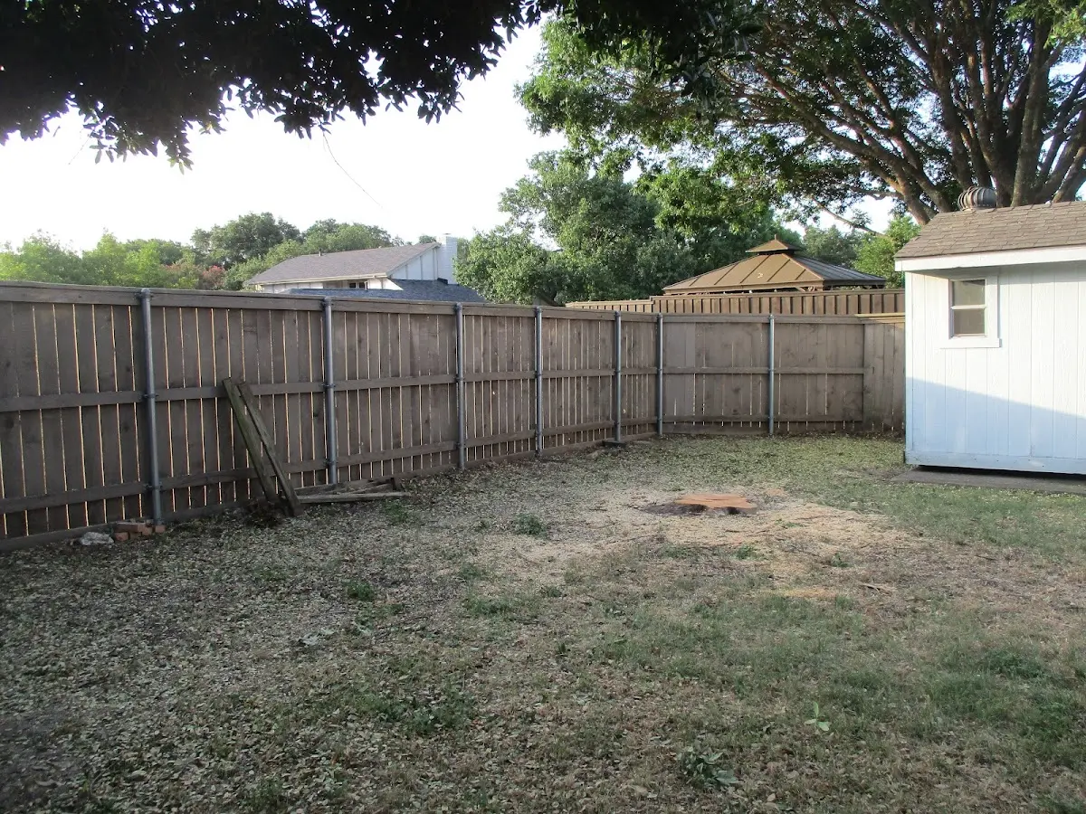Cleared yard after professional tree removal in Cook Springs